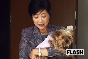 恐らく支給品【ビーチバレー日本代表】TシャツユニフォームL二見