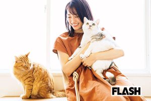 neko_1_thumb_Y-300x200.jpg