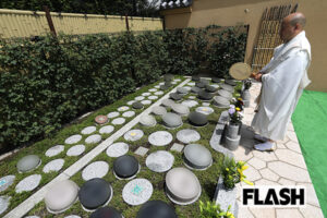 いまや2人に1人が検討する“樹木葬”…人気の理由は「檀家付き合い必要なし…