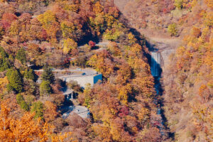 紅葉の「いろは坂」でホンダのハイブリッド車にトラブル頻発　原因は旧システ…