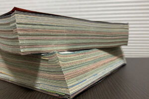 『ONE PIECE』105巻で「ゾロの母親」の名前が明らかに…ルフィの…