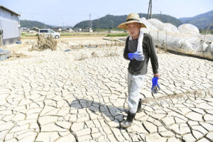 「10月、気温40℃の秋が来る！」凶悪「蛇行偏西風」で続く「殺人猛暑」熱…