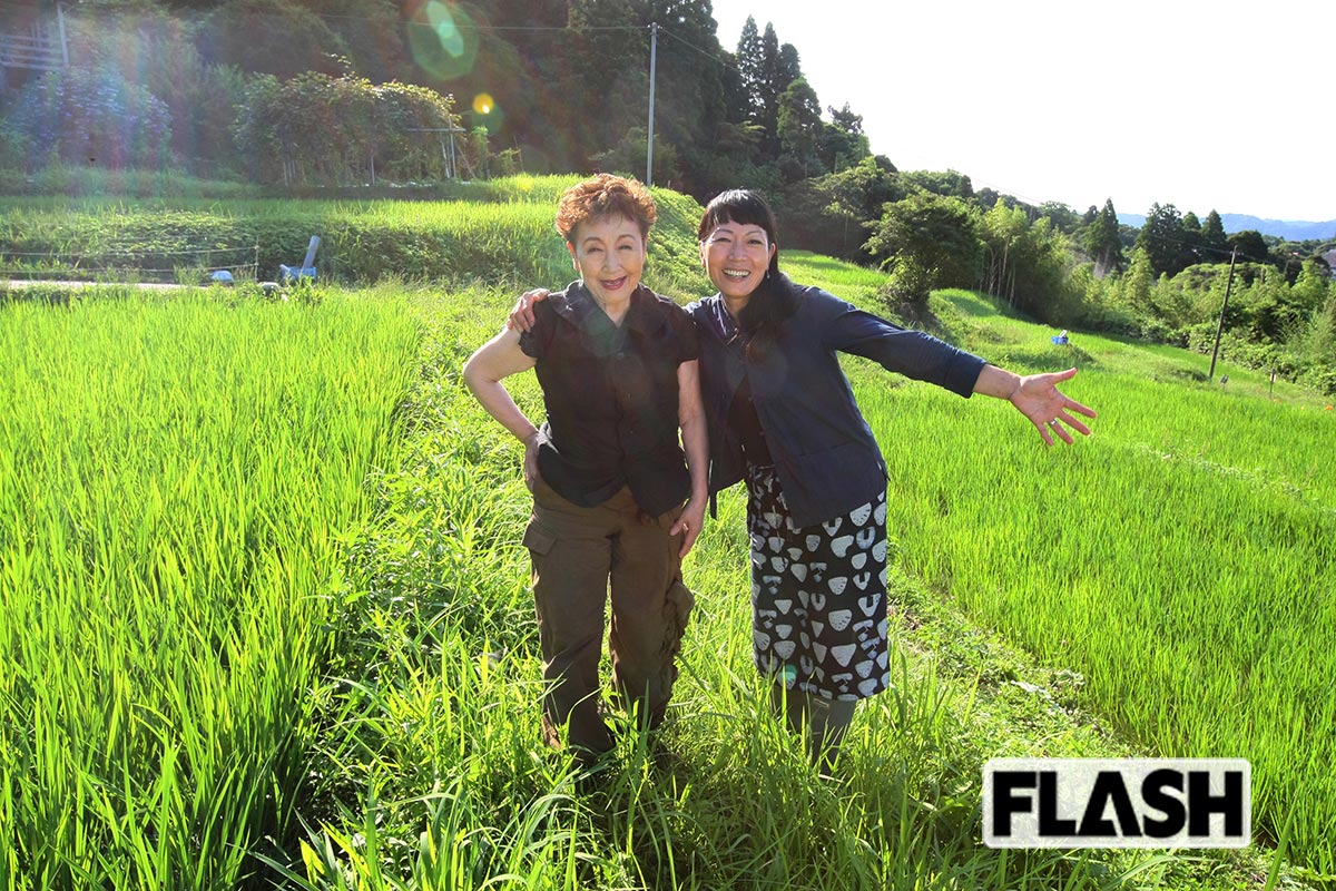加藤登紀子「自給自足ごっこでもいい」夫の遺志継ぎ千葉・鴨川の「棚田」守る…「令和の米不足」にできること