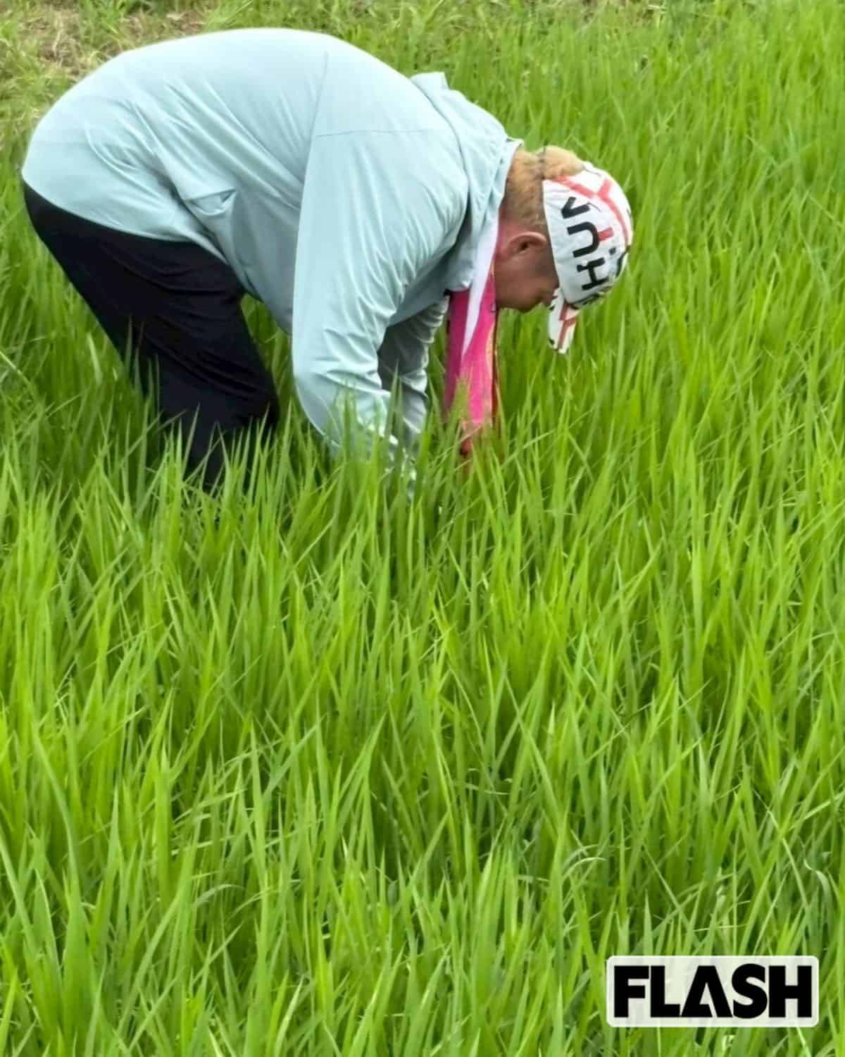厄介な草取りに挑む神取忍