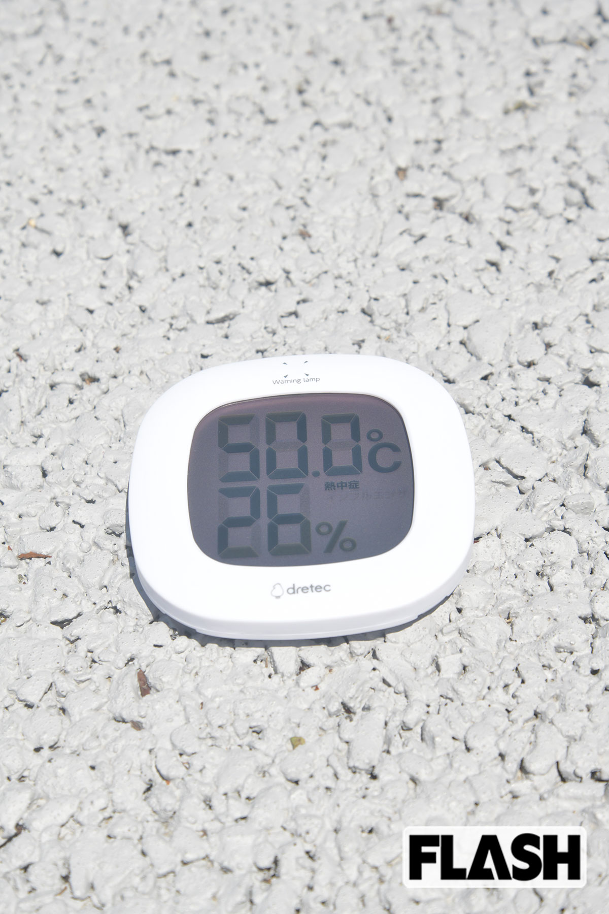 地面の上は、驚異の50度を計測!（写真・馬詰雅浩）