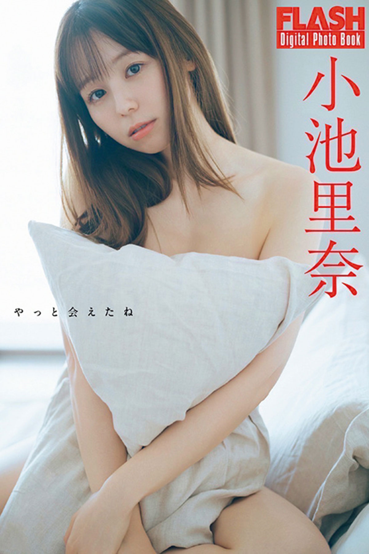 FLASHデジタル写真集『やっと会えたね』は各電子書店で発売中!