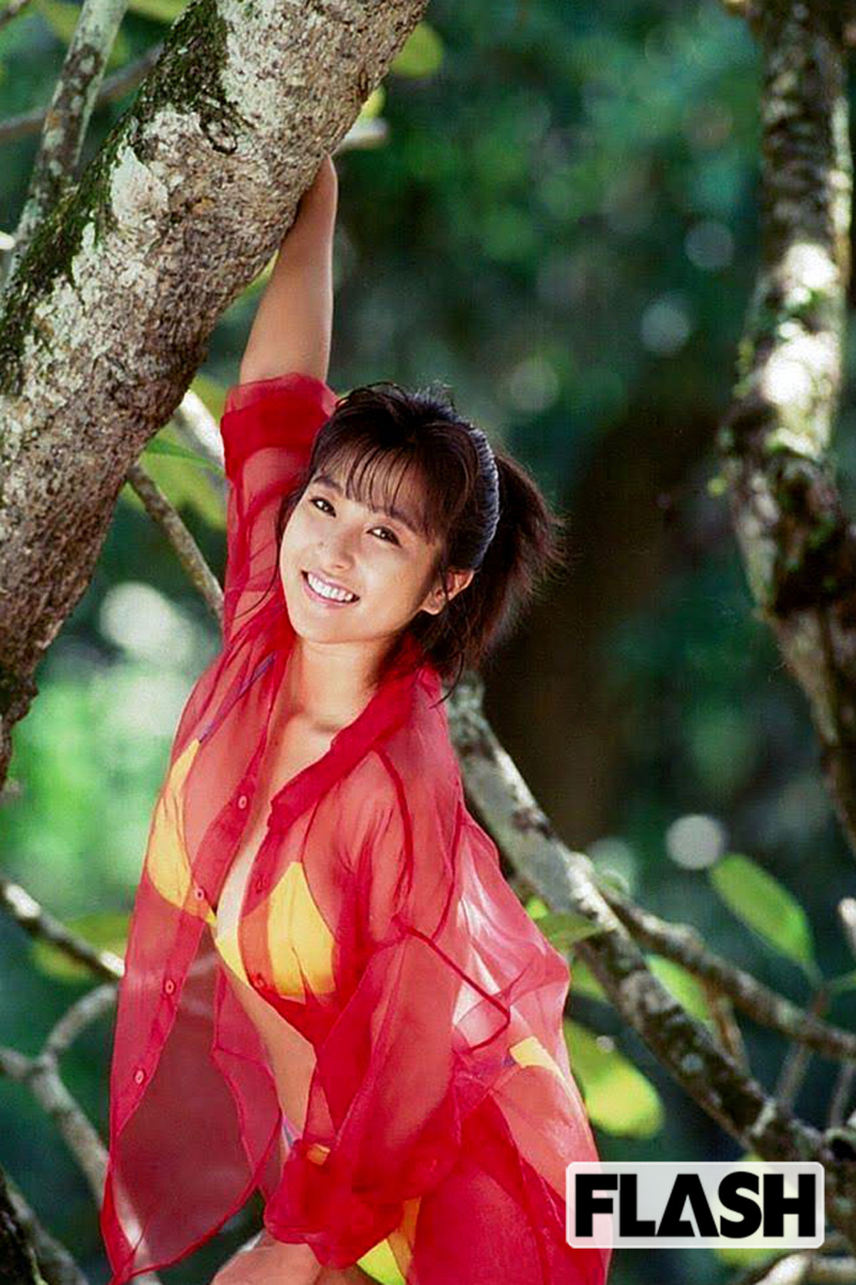 クラリオンガールに選出され、「かとうれいこ」として出版した写真集『胸いっぱい』（近代映画社）より（写真・山岸 伸）