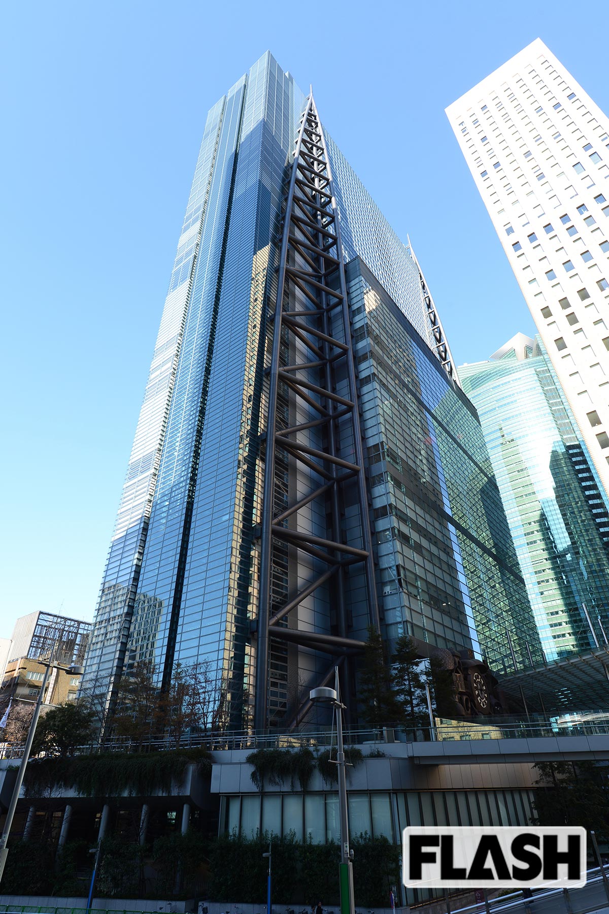 【「鹿への暴力」検証】日テレが誹謗中傷に警告も…高市早苗氏の発言から「攻撃する観光客」物議やまず