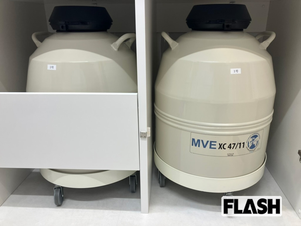 ドナーから提供された精子を凍結保存する液体窒素凍結保存容器