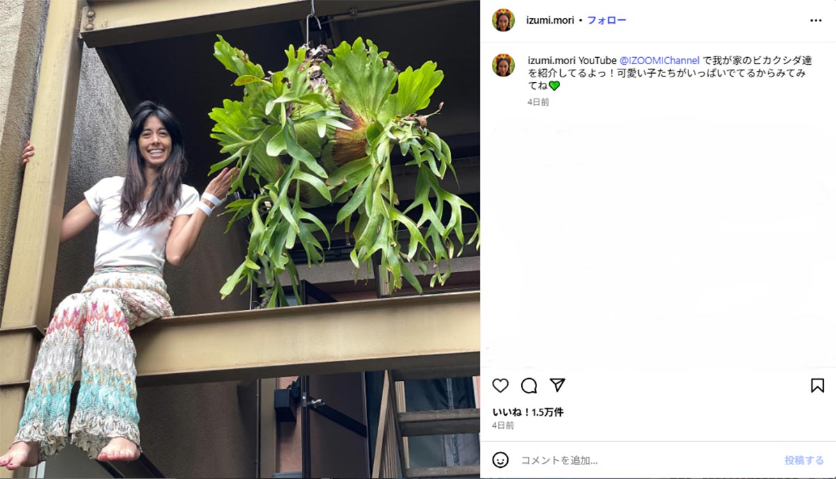 モデルの森泉(Instagram「izumi.mori」より)