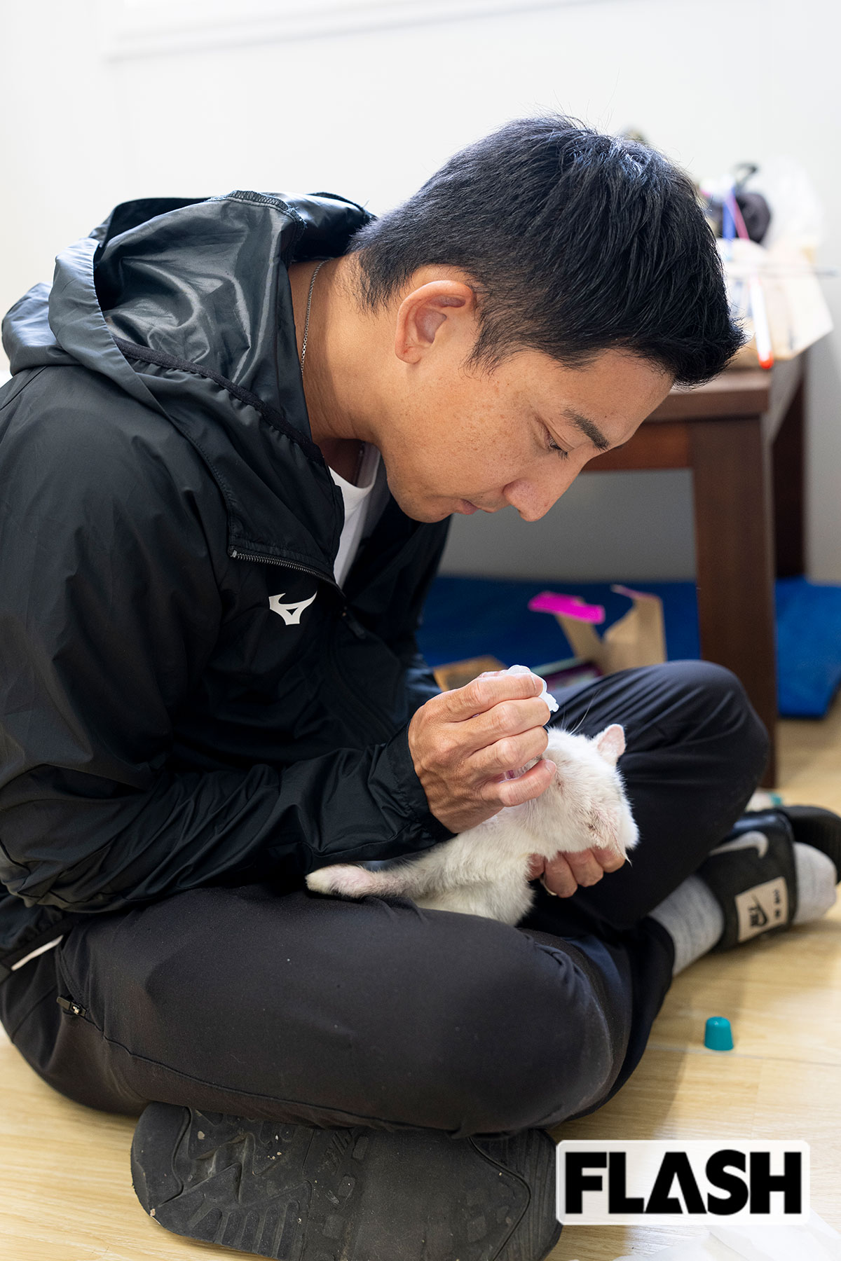 保護猫に目薬をさす。「捕獲して避妊去勢をしてから里親さん探しまでやっています」(写真・木村哲夫)