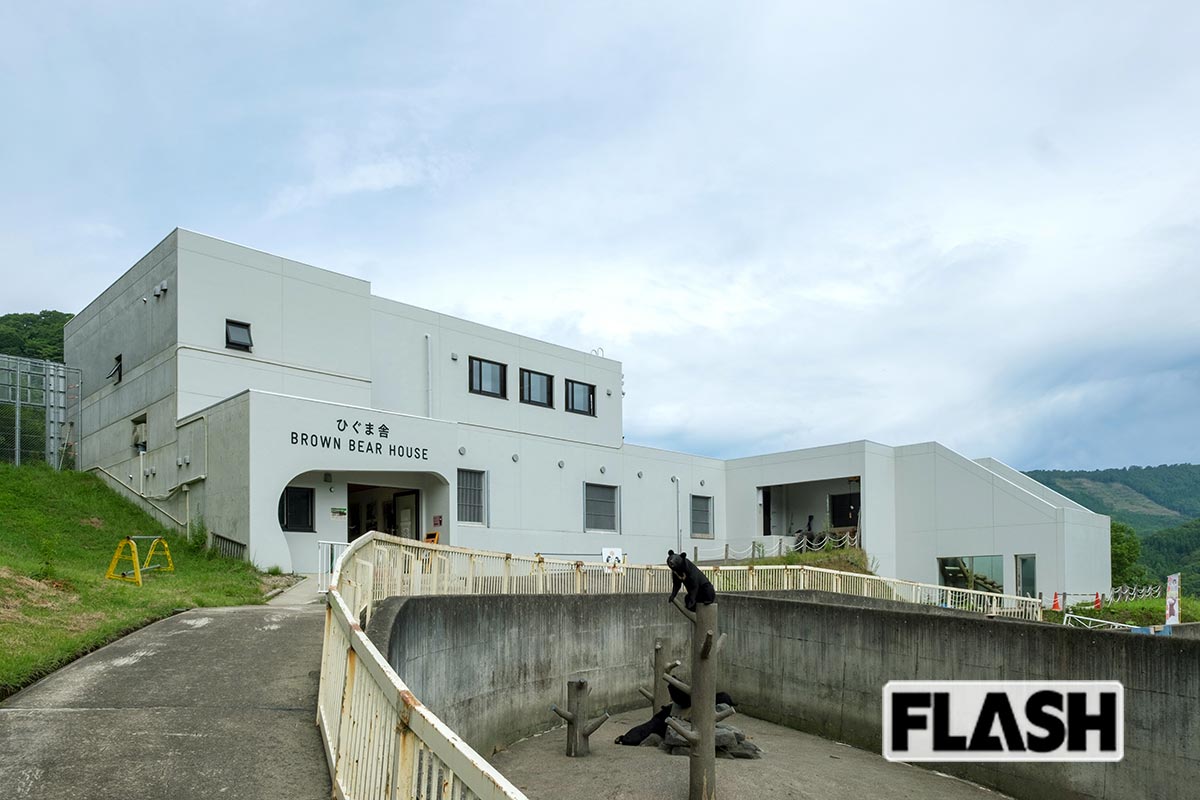 くまくま園、1989年に「マタギの里・熊牧場」として開園。従来は殺処分するしかなかった、駆除された親グマに残された子グマを飼育する “命の受け皿” として機能してきた