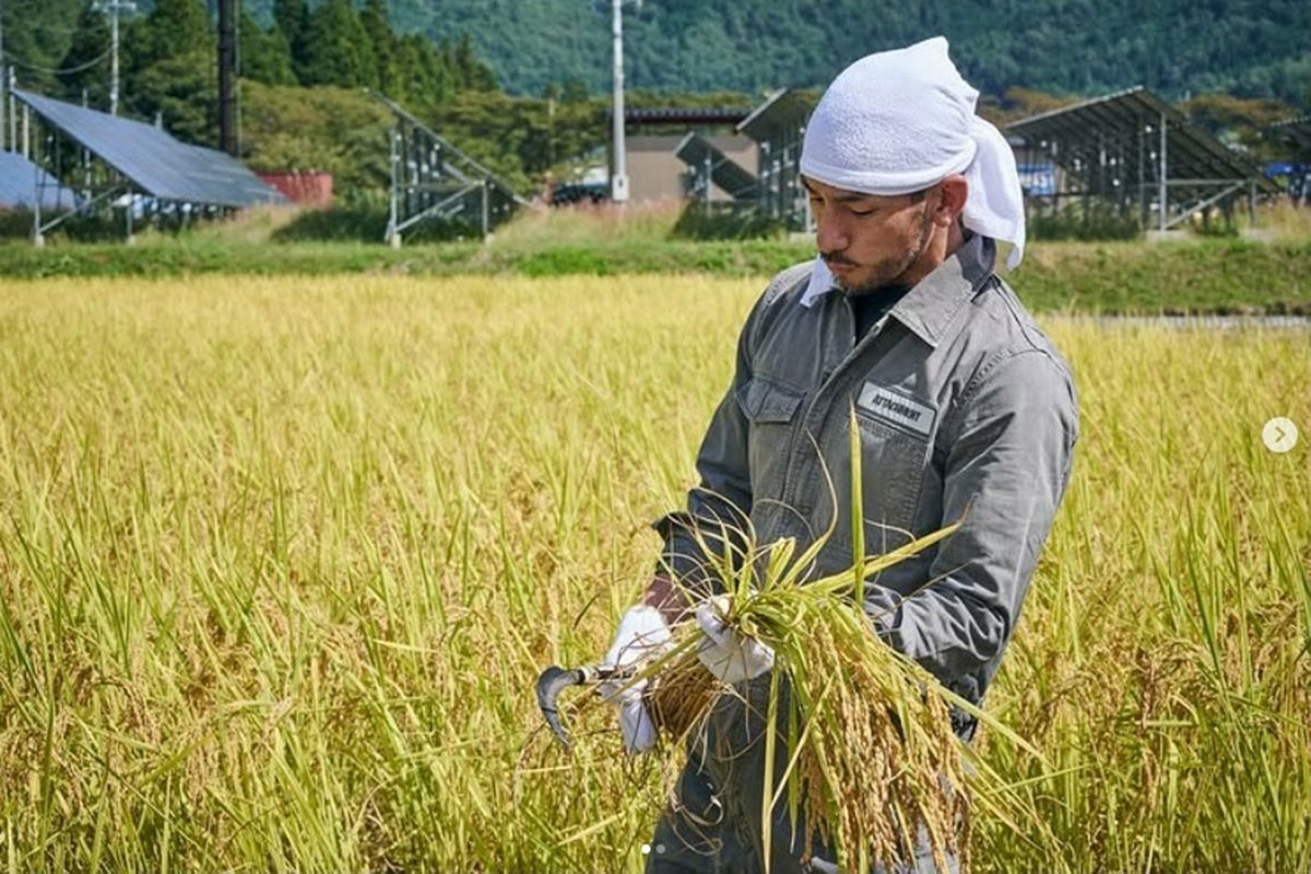 ブランド米『龍の瞳』の稲刈りに参加に参加した中田英寿（写真・本人Isntagramより）