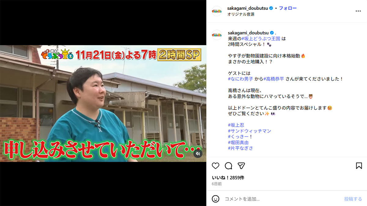 11月21日放送の『坂上どうぶつ王国』(フジテレビ系)の予告動画(11月投稿の『坂上どうぶつ王国』のInstagram「@sakagami_doubutsu」より)