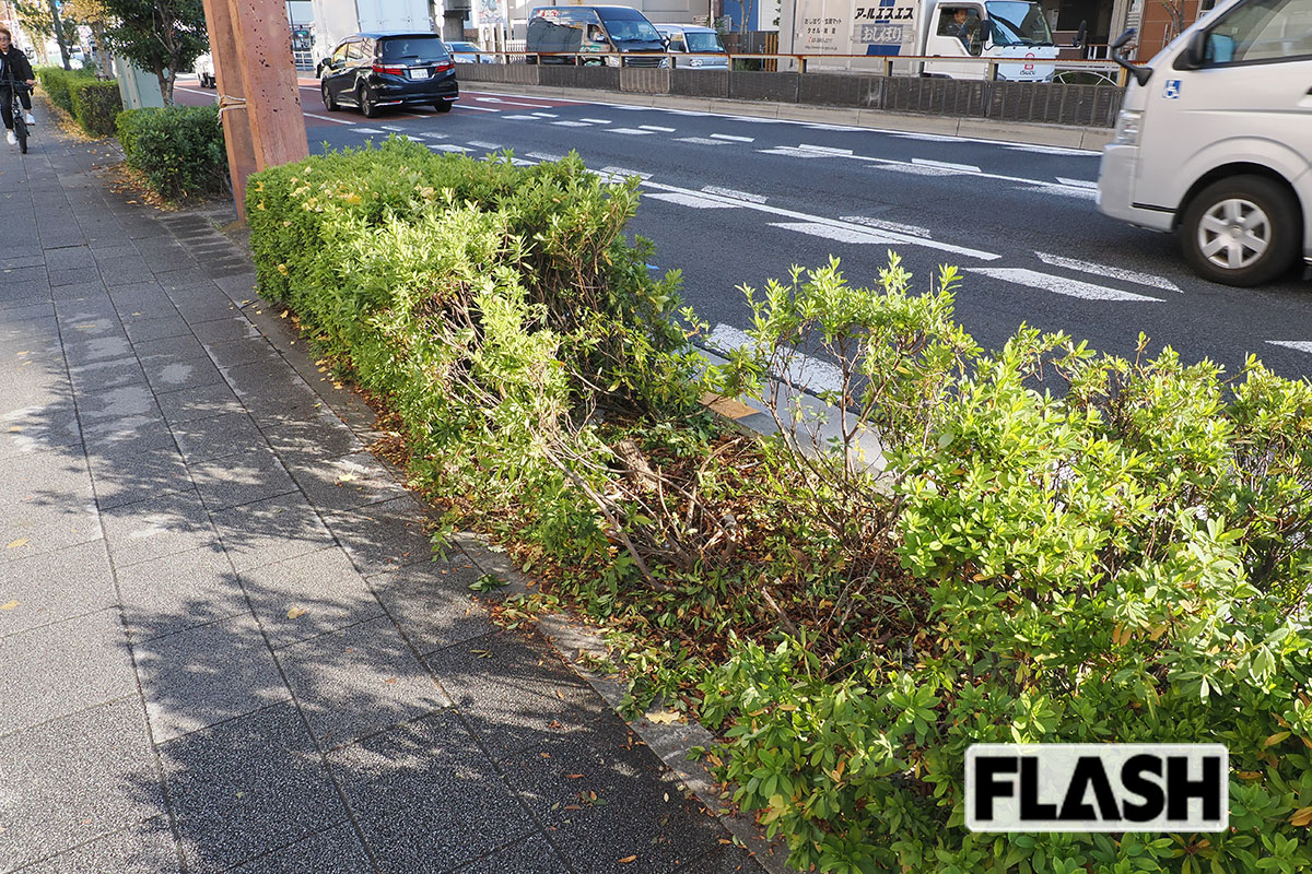 盗難車が歩道に乗り上げた際にできた痕跡（写真・梅基展央）