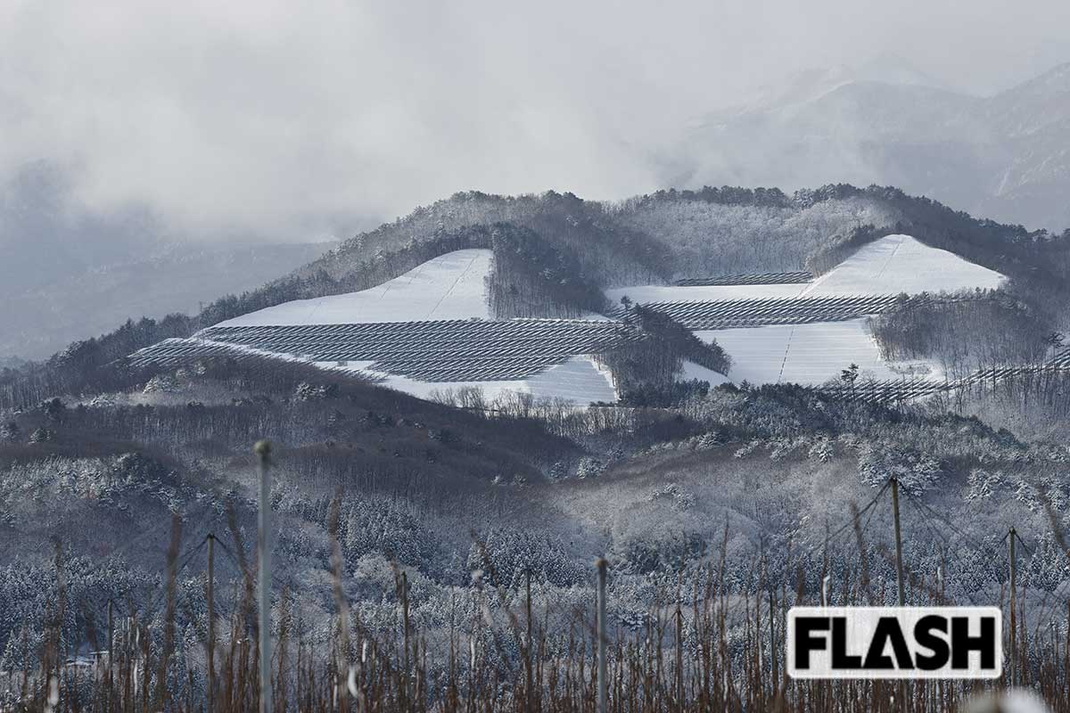 福島県福島市にあるメガソーラー。「先達山の山あいなどに、複数のメガソーラーが設置されました。森林伐採による裸山化、景観悪化、土砂災害リスクへの不安が住民から多数、寄せられています」（杉山氏、写真・吉田 豊）