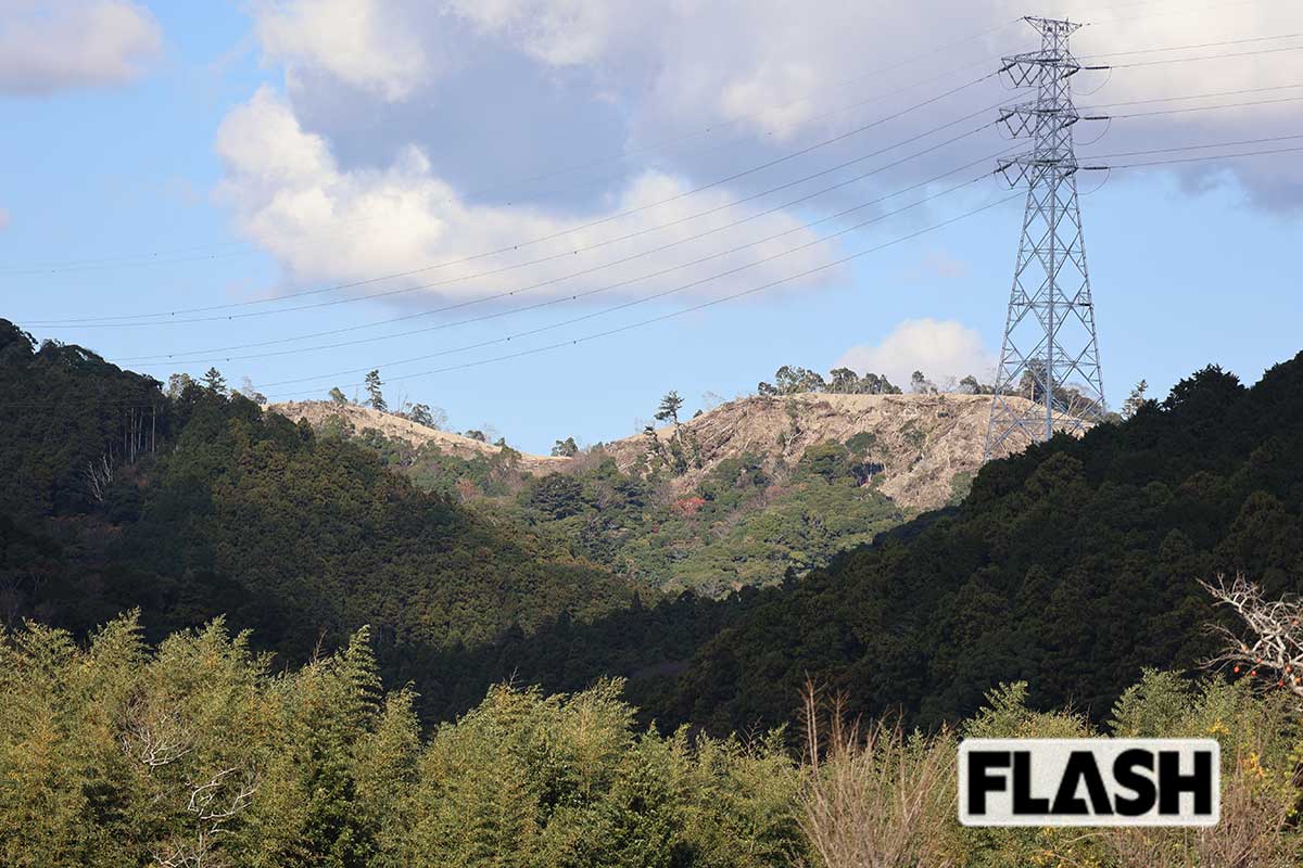 千葉県鴨川市のメガソーラー建設予定地。「約150ヘクタールという日本最大級の規模で、山林を削る計画です。約37万本の樹木伐採、1300万立方mという膨大な盛り土・切り土は、急峻な地形を持つ鴨川では豪雨時の土砂災害・洪水リスクを確実に高めます。伐採木を斜面に大量放置していた様子が報じられ、下流の川や海への土砂流出も懸念されています」（杉山氏）