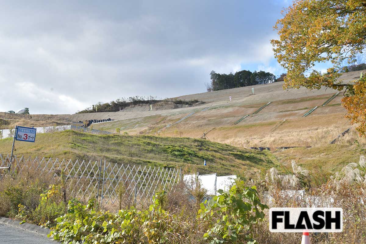 奈良県平群町で進行しているメガソーラー開発地。「面積約48ヘクタール（甲子園球場約12個分）の山林を伐採し、4万〜5万枚のパネルを設置する計画でしたが、住民への説明不足や同意書の不備などの問題が指摘され、約1000人が原告となる建設差し止め訴訟が提起されました」（杉山氏、写真・馬詰雅浩）