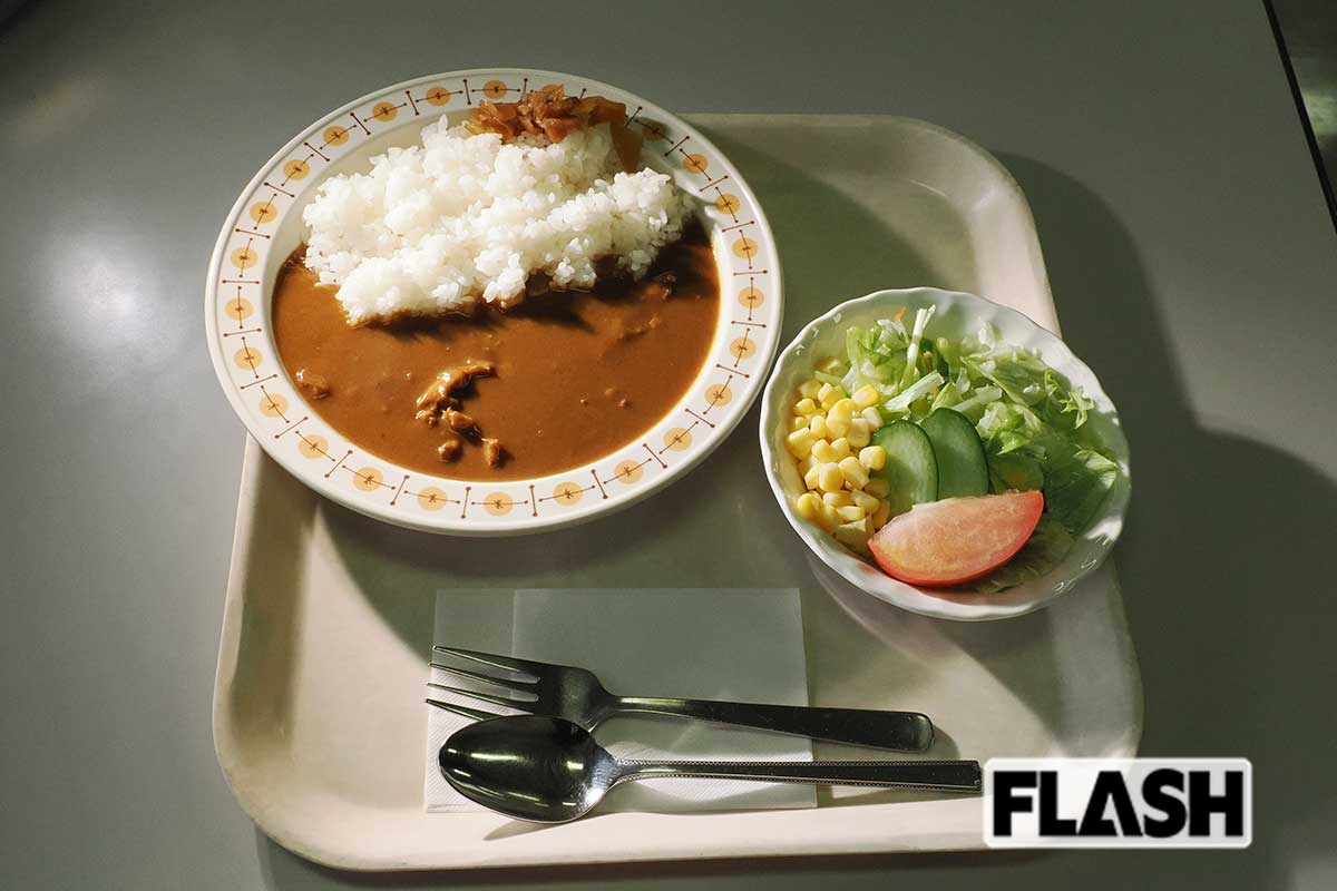 【自民党党本部】名物自民党カレー。ミニサラダがつき、「党本部に来ると必ず食べたくなる」（自民党関係者）という