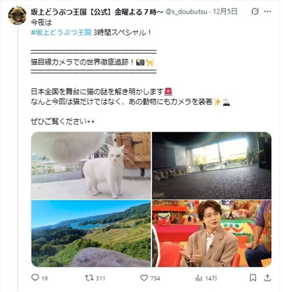 「猫目線カメラ知られざる裏の顔判明スペシャル」が物議をかもしているフジテレビの教養バラエティ番組『坂上どうぶつ王国』(@s_doubutsuのXより)