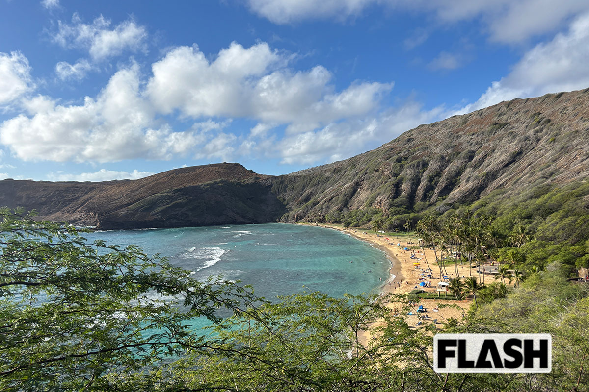 シュノーケリングにおすすめなハナウマベイ（写真・本人提供）