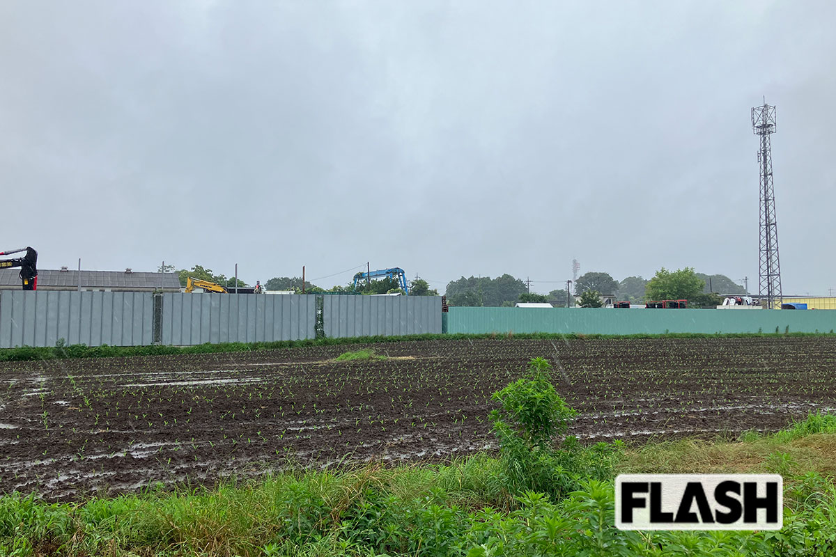 ヤードは高いフェンスに囲まれている（写真提供・加藤久美子氏）