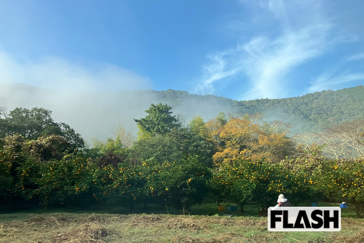 「ゲストハウス　あざみ野」をベースに、南予の大自然が満喫できる