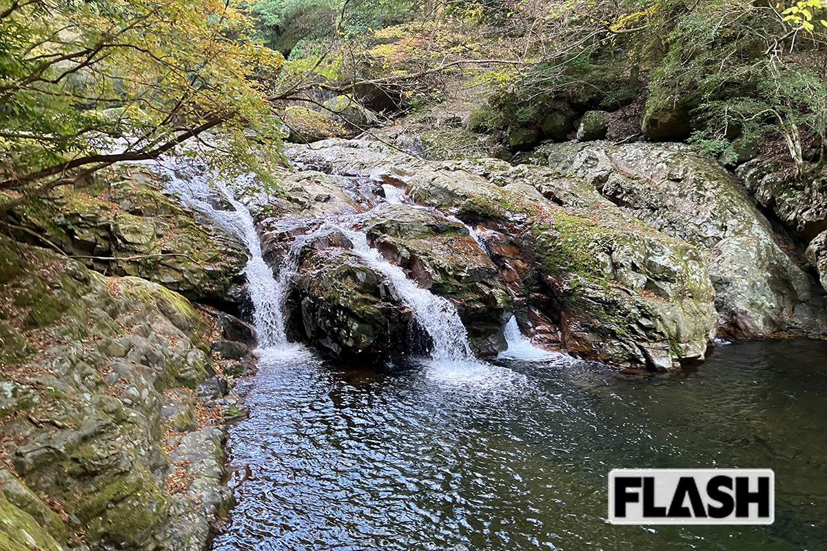 「ゲストハウス　あざみ野」をベースに、南予の大自然が満喫できる