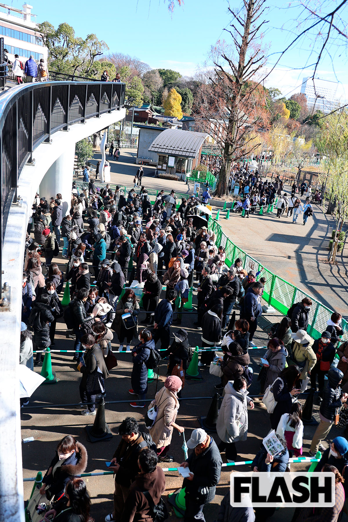 2025年、12月18日、上野動物園ではパンダを観るために大行列ができた