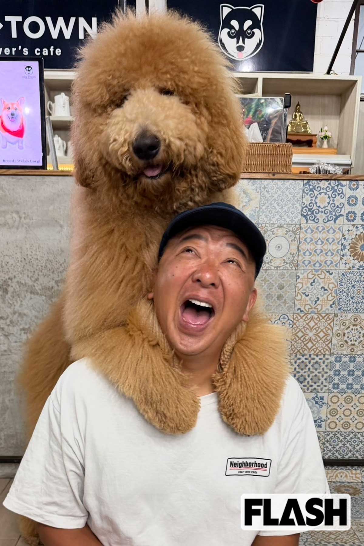 タイでの木下孝之。休日に友人らとバンコクにあるドッグカフェを訪れたという