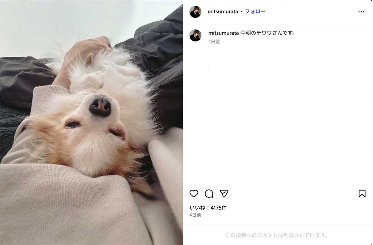 2026年1月17日、愛犬を育てる女優の神田沙也加さんの元夫・村田充(@mitsumurataのInstagramより)