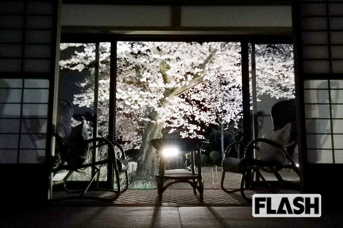 「煩悩の扉」が開ける「海蔵寺　宿坊櫻海（おうみ）」