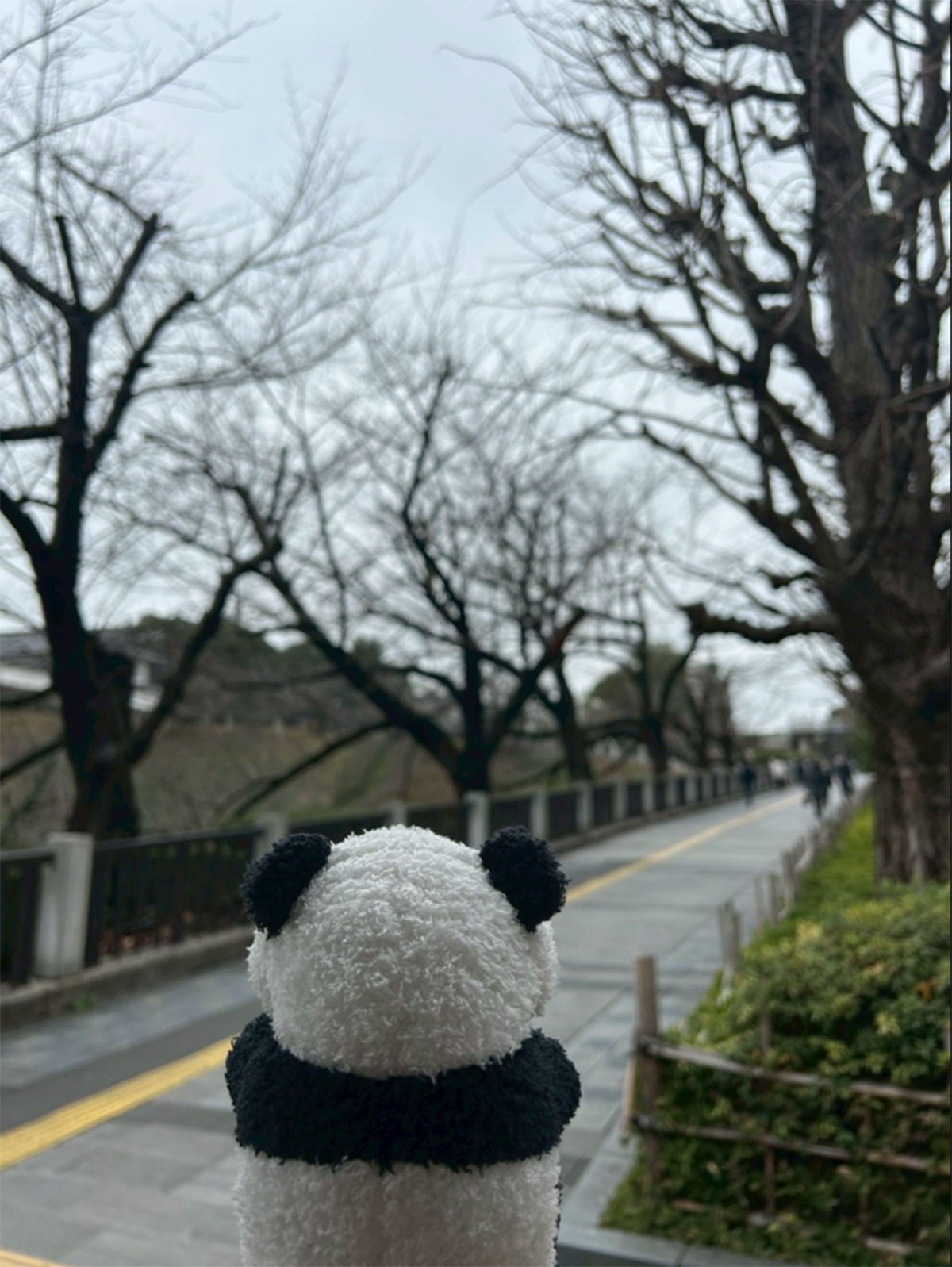 結婚後、平手友梨奈がSNSに投稿した“パンダ匂わせ”写真（本人Xより）