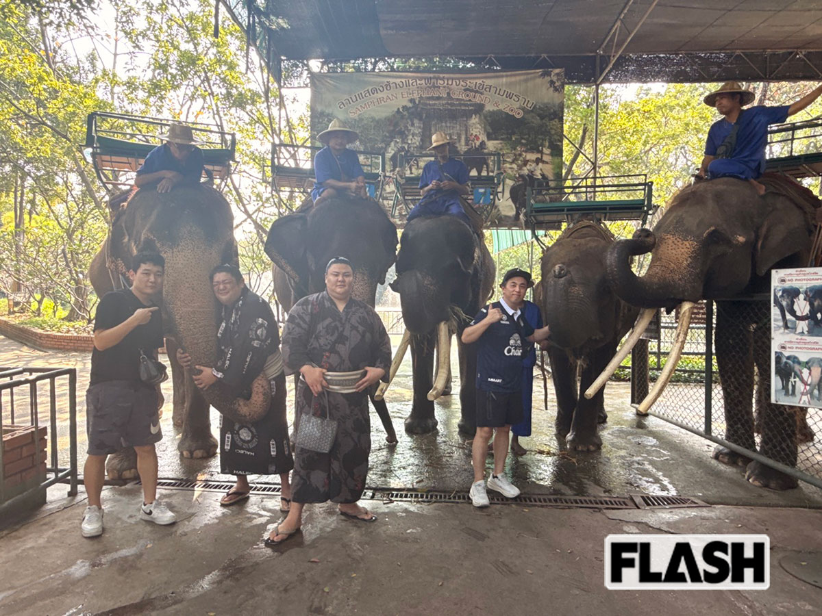 タイ・バンコクで、ゾウを前に大興奮の様子の義ノ富士（中央）