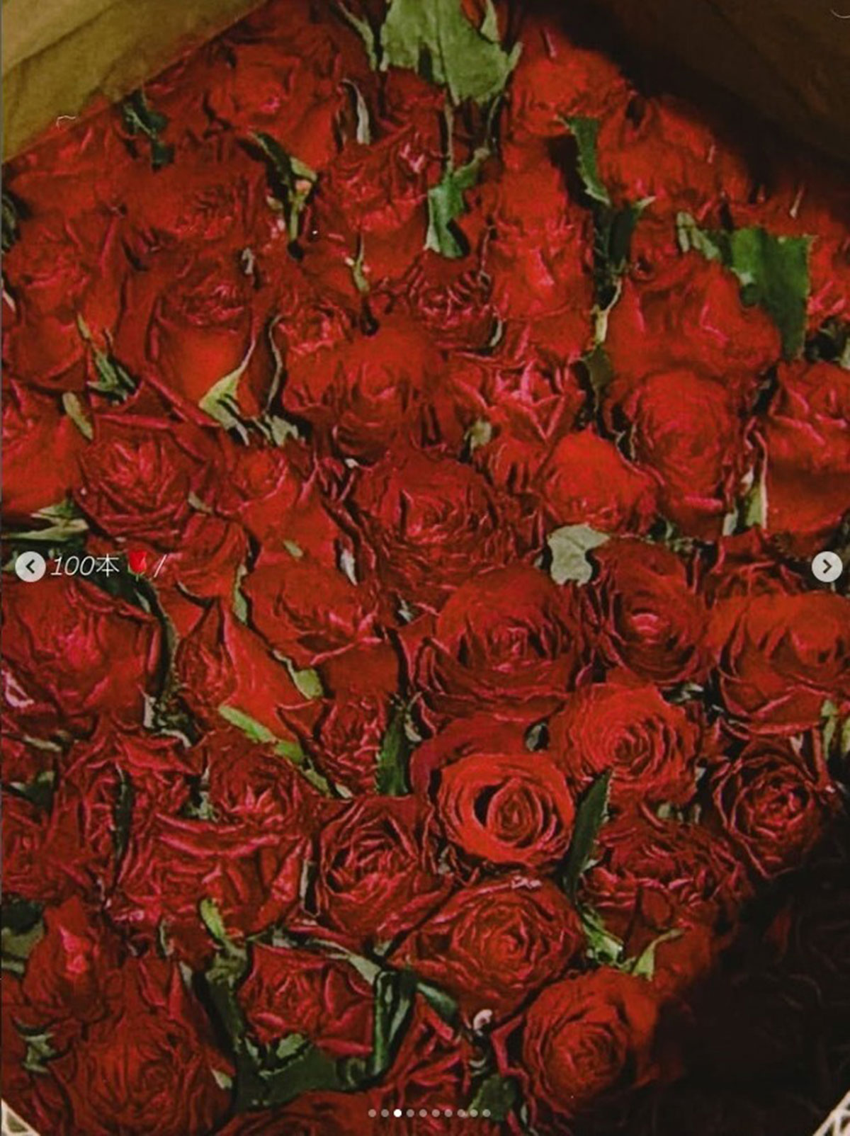 松岡茉優が投稿した100本の赤いバラ。夫でありアイドルの有岡大貴によるプレゼントではないかと指摘があがった（写真・松岡茉優のInstagram「mayu_matsuoka_koushiki」より）