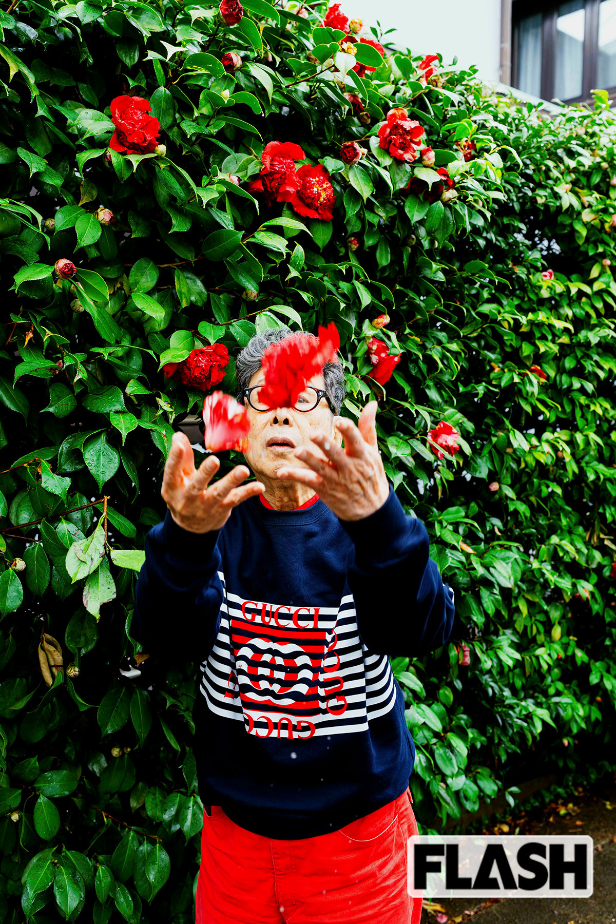 アトリエの周囲は緑であふれている