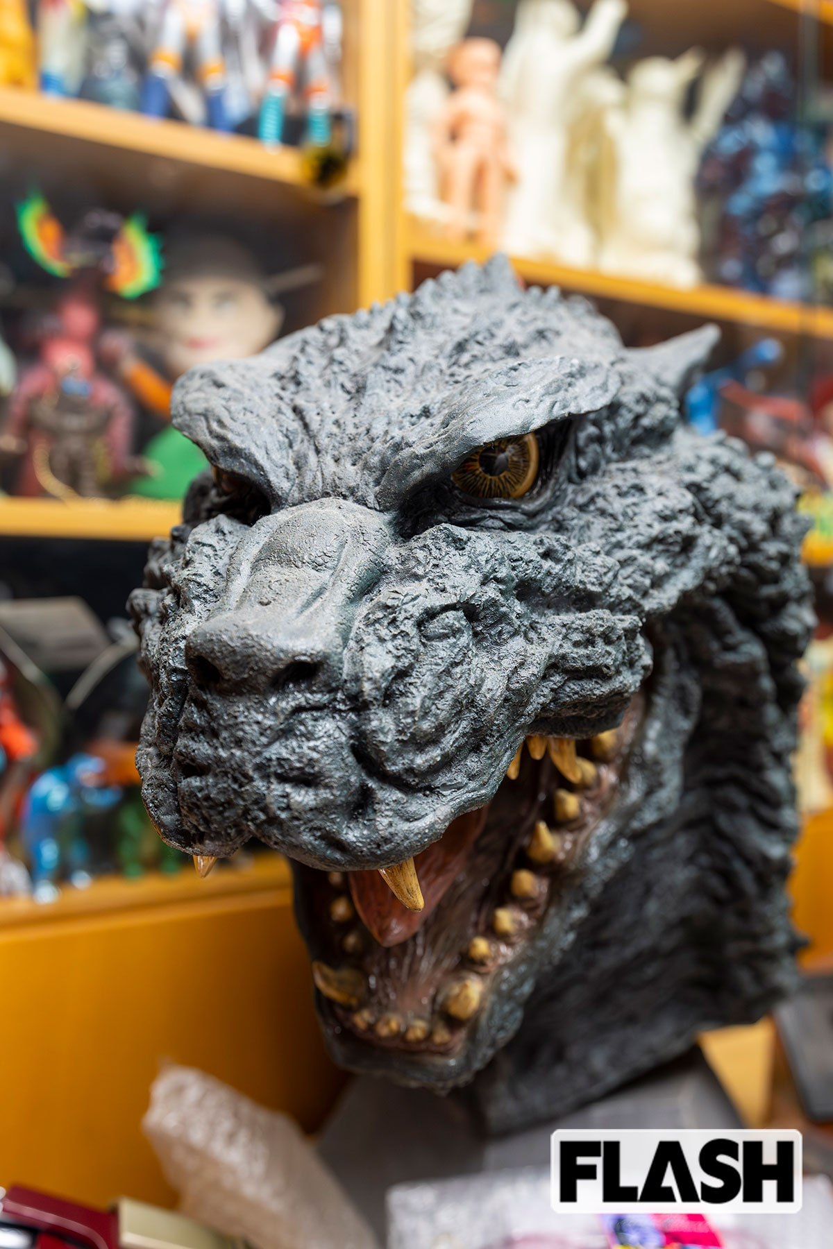 「現存する昭和唯一の、撮影用『ゴジラ』着ぐるみの頭です。東宝さんって、古いものは捨てちゃうんですよね」（なべやかん、写真・木村哲夫）