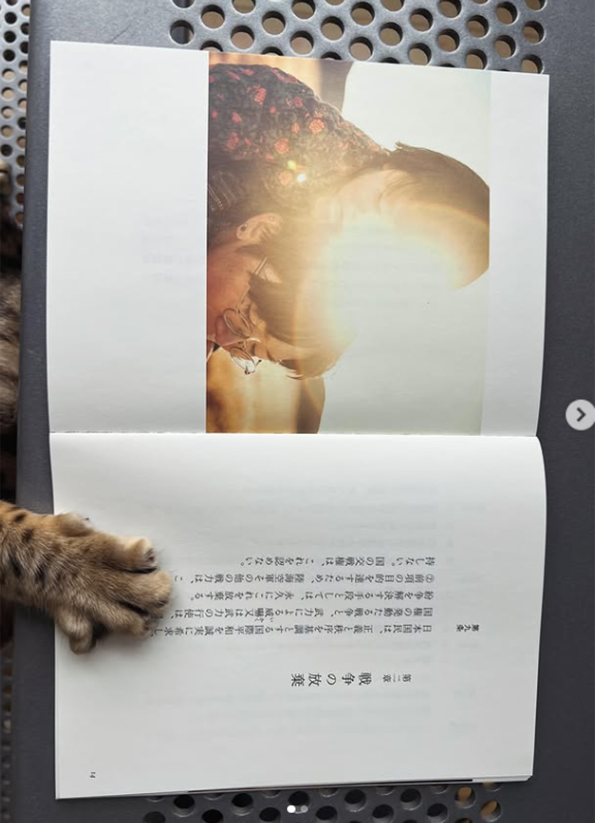 小泉今日子が代表を務める「株式会社明後日」のInstagram「asatte2015」より。よく見ると、猫がのぞき込んでいる本には「第九条」の文字が