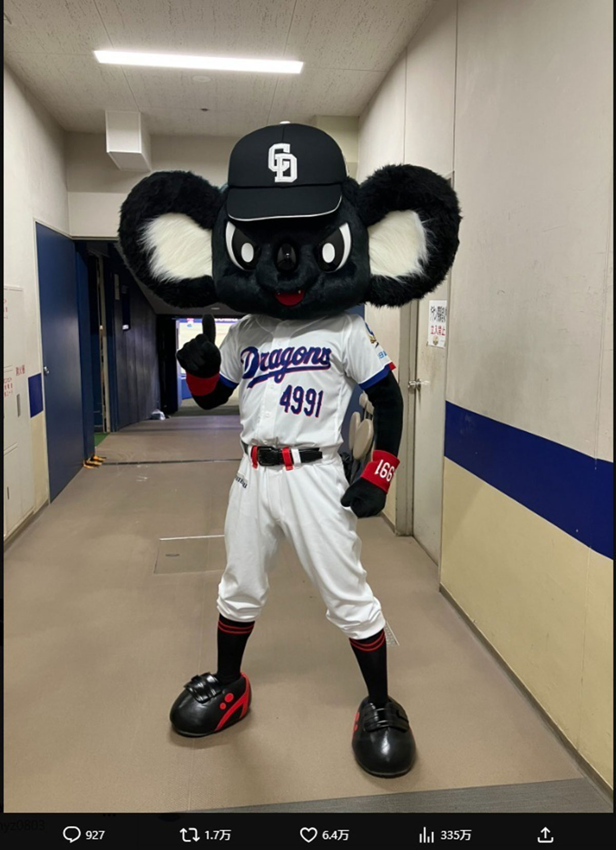 中日ドラゴンズの新たなマスコット・ブラックドアラ。考案者の山口一郎は恨み節を述べている（写真・球団公式Xより）