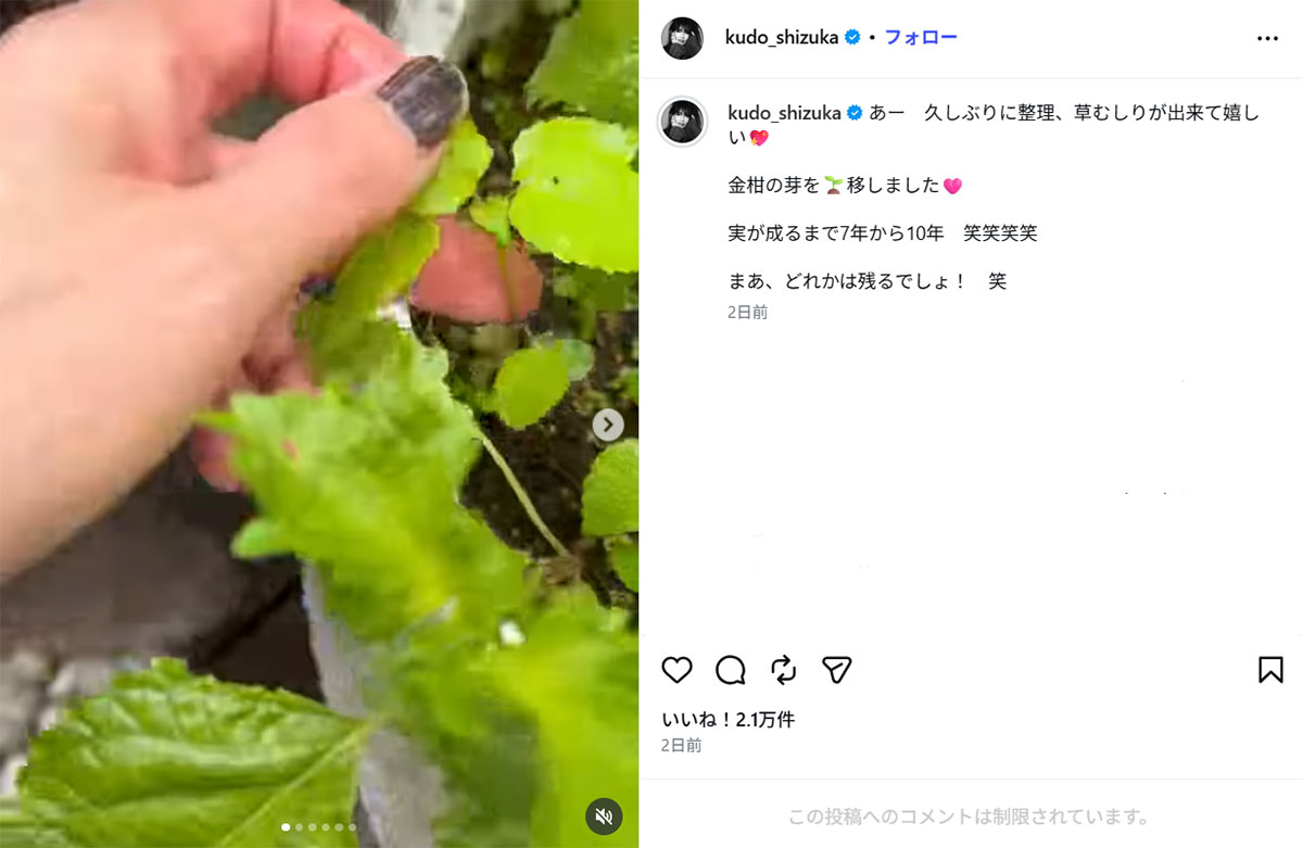 素手で草むしりをする動画を公開した工藤静香(画像・7月12日投稿の『Kudo_shizuka』のInstagram「@kudo_shizuka」より)