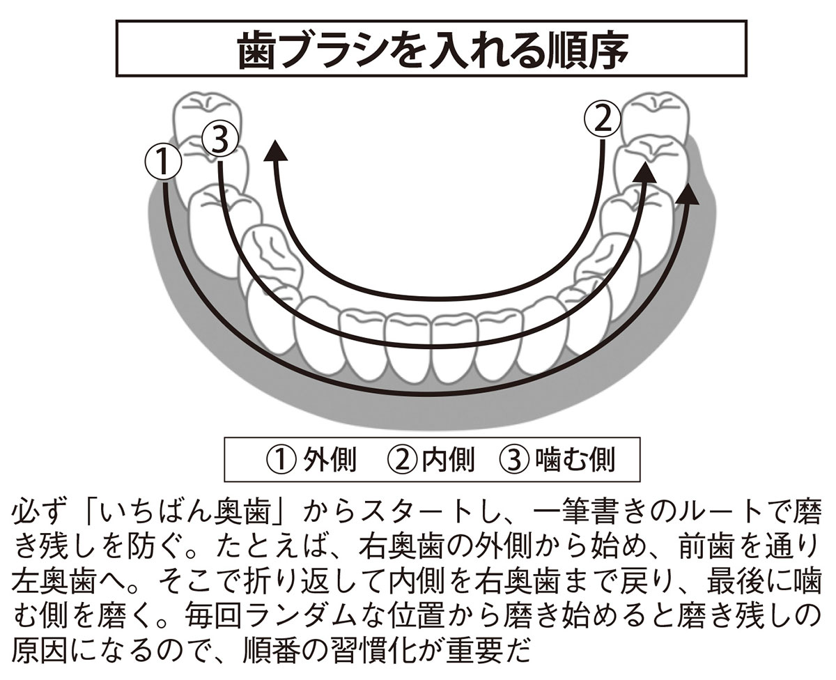 歯ブラシを入れる順序