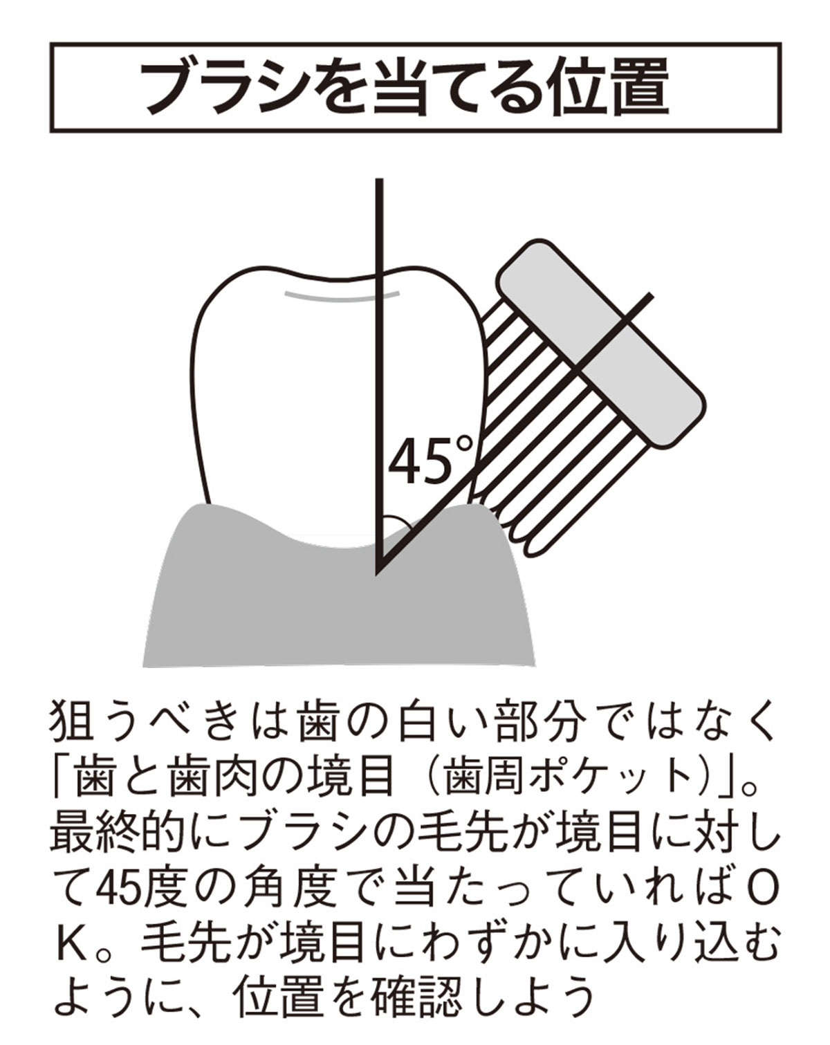 ブラシを当てる位置