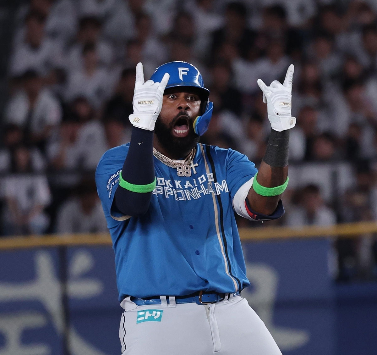 日本ハムのフランミル・レイエス外野手（写真・共同通信）