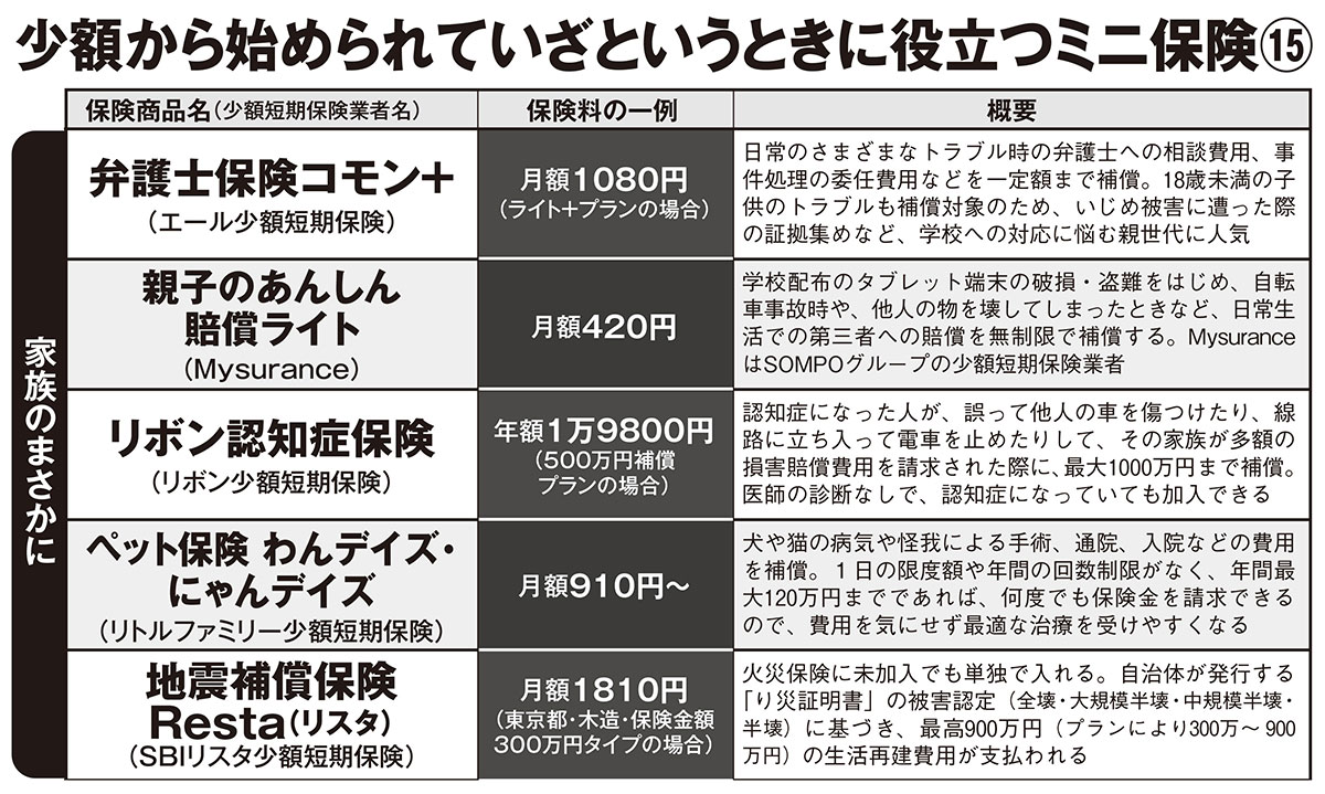 【家族のまさかに】少額から始められていざというときに役立つミニ保険