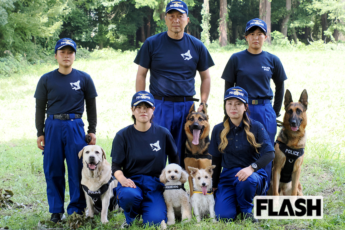 栃木県の警察犬と訓練士たち。ラブラドール・レトリバー、ジャーマン・シェパード2頭とともに並ぶトイプードルのケン（中央左）とジャック・ラッセル・テリアのカノン（同右）。後列中央が池上裕二所長、前列右が飯田早希さん（写真・保坂駱駝）