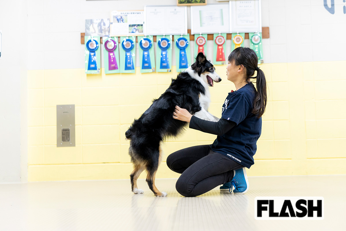 指導手の福永美澄希さんと向き合うノエル。学内犬でありながら、子犬のころから福永さんのもとで過ごし、日々トレーニングに励んできた