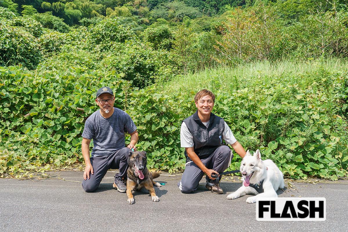 左から大内田武士さんとサラ、加山洋平さんとのイブ。頼もしい “姉貴分” のサラとともに、親しみやすい容姿のイブも警察犬としての能力を磨く（写真・駄道賢剛）