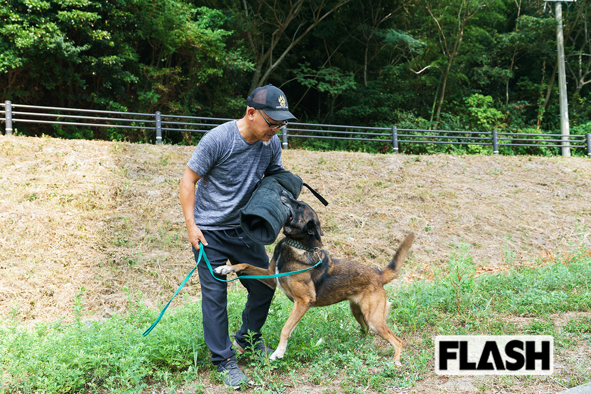 プロテクターに力強くかぶりつくサラ。指導を務めるのは元自衛官の大内田武士さん（写真・駄道賢剛）