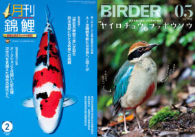 野鳥観察誌は“フェイク写真”混入を危惧・・・老舗専門誌の世界が直面する「AI革命」のリアル
