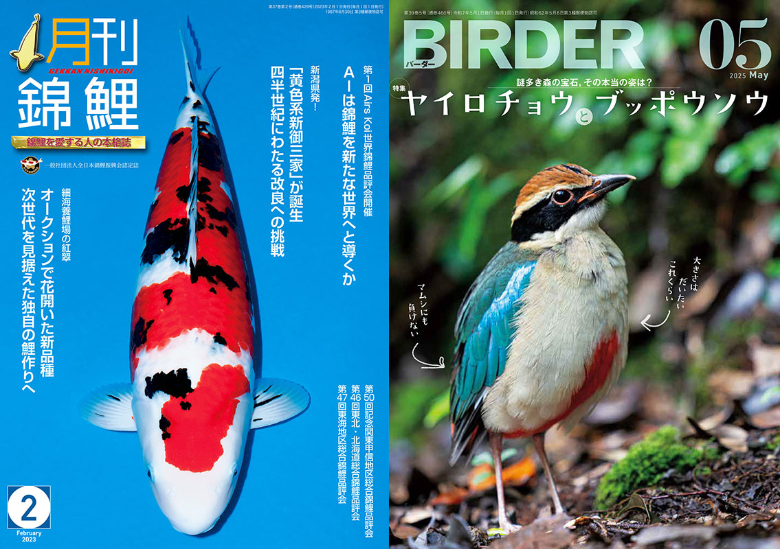 野鳥観察誌は“フェイク写真”混入を危惧・・・老舗専門誌の世界が直面する「…